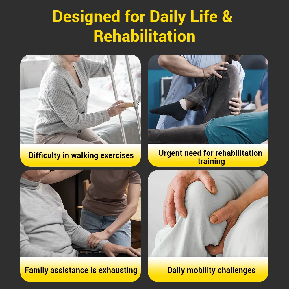 EASWE S10 standing electric wheelchair with assisted standing lift