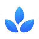 American Service Network logo
