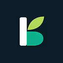 Breezy Growth logo