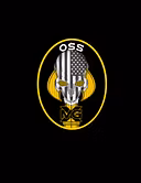 The OSS 300 logo