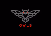 Owls Free Access