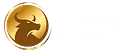 Ashley's New Trader Network