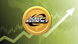 SPX6900