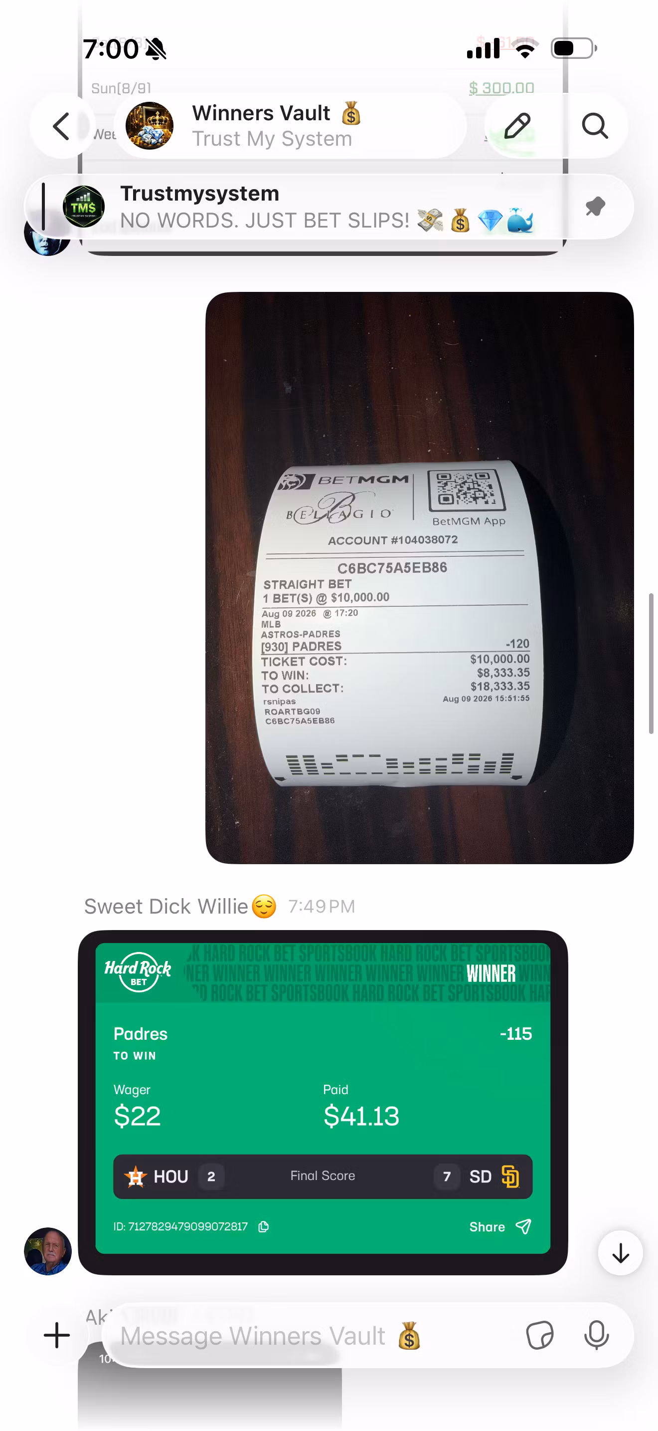 file_awyawpttVrkp7