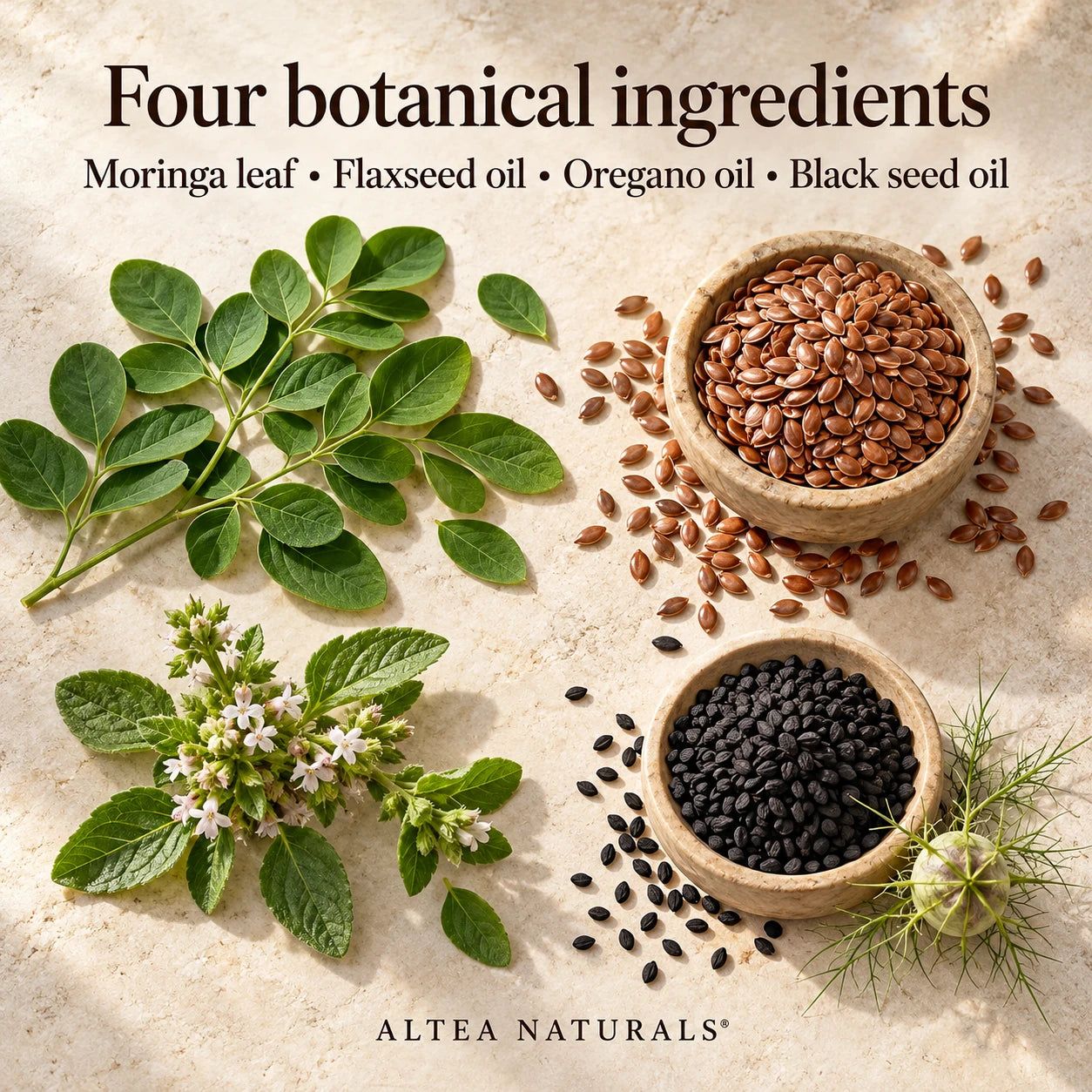Altea Naturals® Moringa 4-in-1 Softgels — 1 educational detail