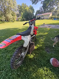 Profile picture