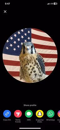 Profile picture
