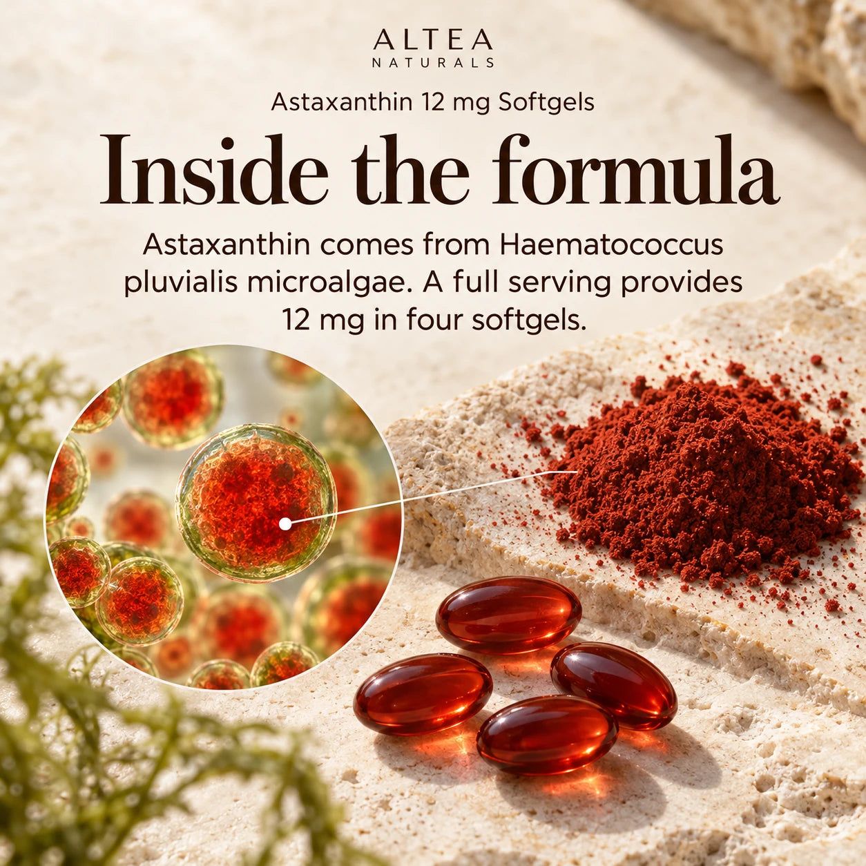 Altea Naturals® Astaxanthin 12 mg Softgels — Ingredients and formula
