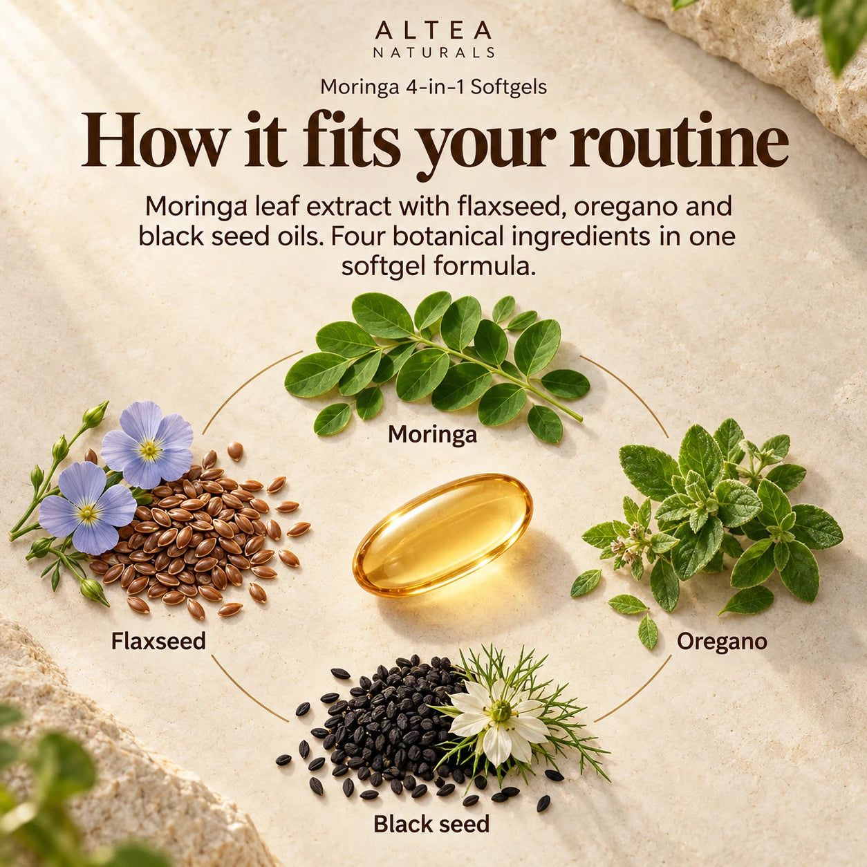 Altea Naturals® Moringa 4-in-1 Softgels — Product details