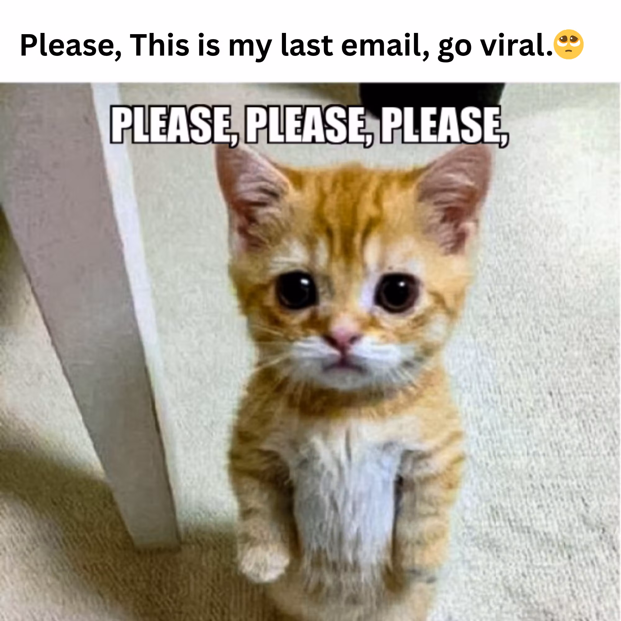 file_MjsCVUkIeXOCL