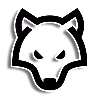 The Wolves Academy