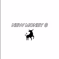 NEW MONEY - Options Trading Course
