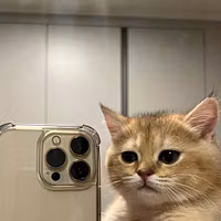 DNE