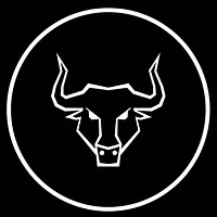 BAY STREET BULLS [TMI's DISCORD]