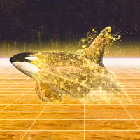 Whales Worldwide 2022