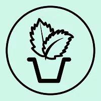 Mint Alpha