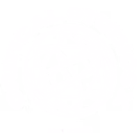 Critical Studios X