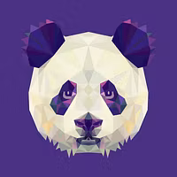 Panda Options
