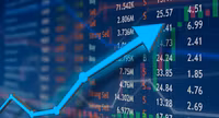 Only Winners Live Stocks