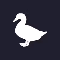 Duck Investments