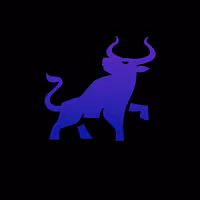 Daily Momentum