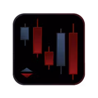 PFS TRADERS