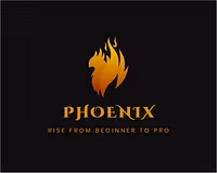 Phoenix: Rise From Beginner to Pro