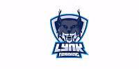 Lynk Trading
