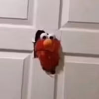 Elmo Store