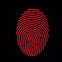 Forensic Forex