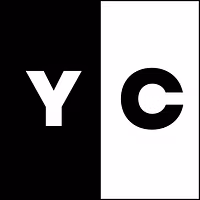 Young CEO'S