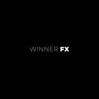 WINNER FX