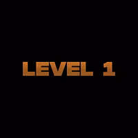Level 1
