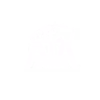 All-In Analytics