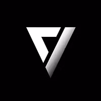 VIS Media Company