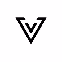 Video Vision