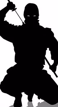Parlay Assasin 