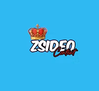 ZSIDEO CONTENT LLC