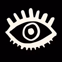 RIZVISIONS