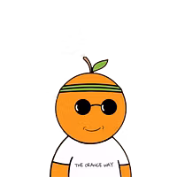 THE ORANGE WAY