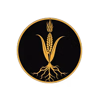 Raiz Studios