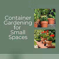 Gardening for Small Spaces