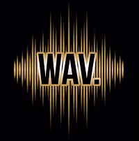 Wav.Formation LLC