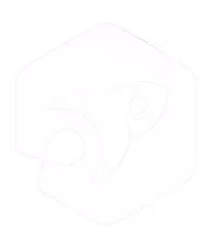 System & AI Automation Service