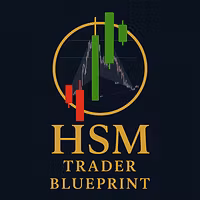 HSM TRADERS ACADEMY