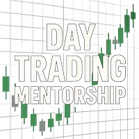 Ray's Trading Mentorship