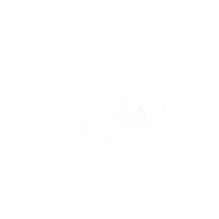 Clifton Media 