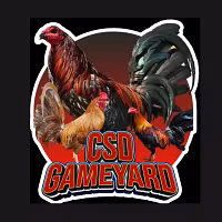 CSD gameyard