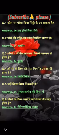 education video