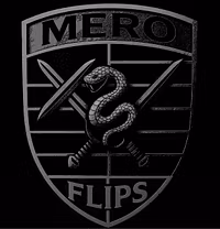 MeroFlips Academy